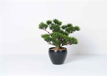 künstliche Pflanzen