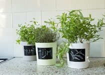 Floristen/GC, Blm-Töpfe